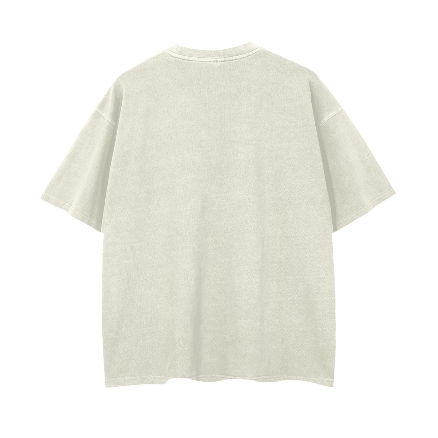Space Western Wildlife Oversized T-Shirt - Cowboy Toad and Snake Graphic Tee - Retro Drop Shoulder Heavyweight Shirt